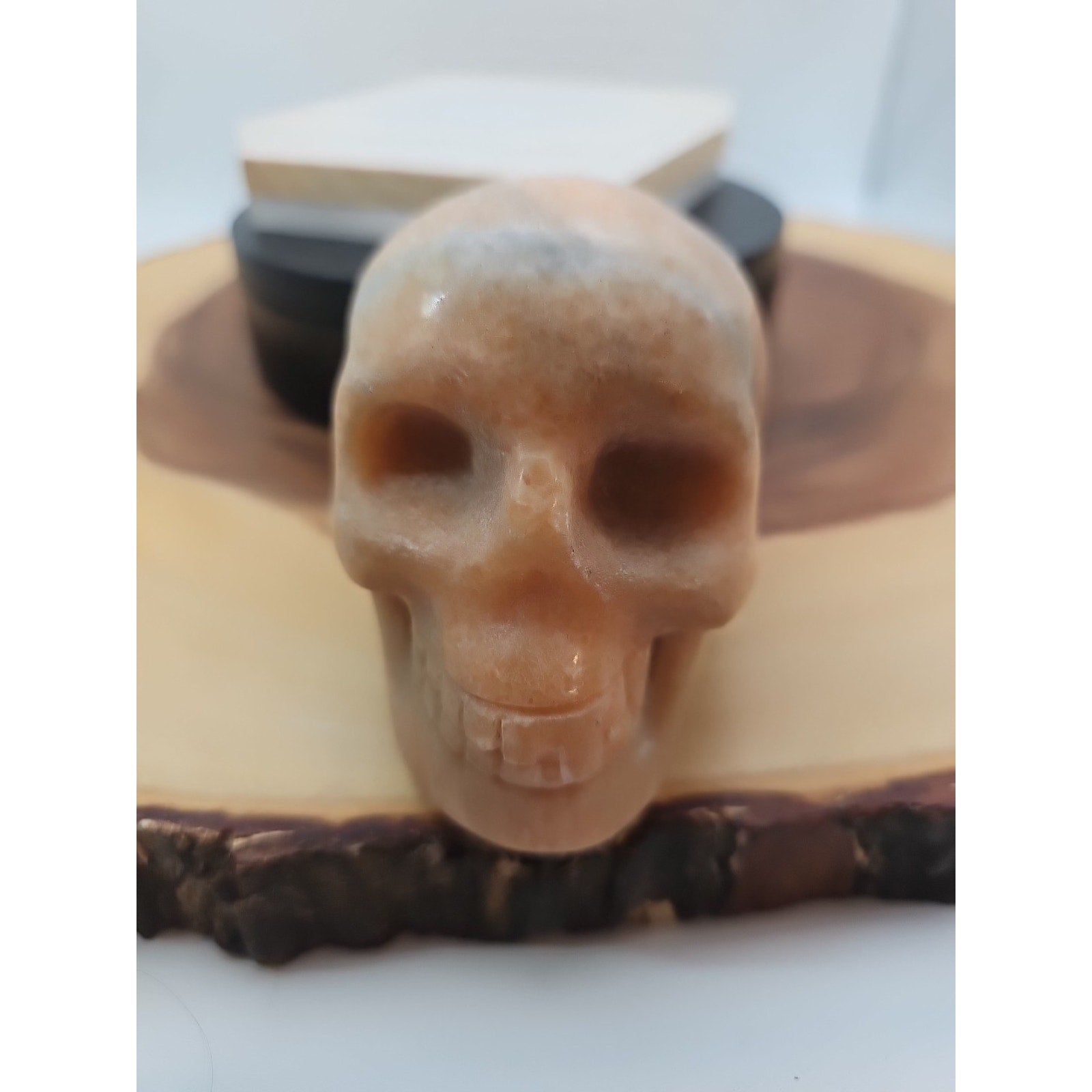 1.24lb Natural Jasper Calcite Skulls Crystal Carving Mixed Stones Healing