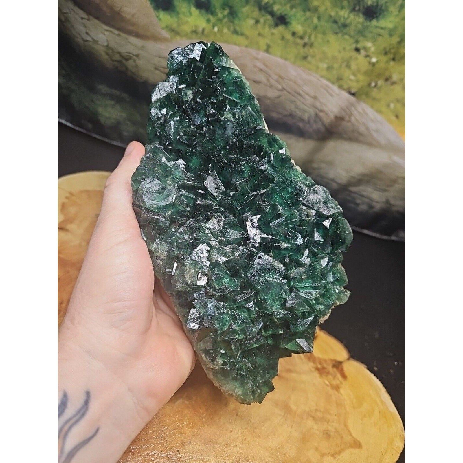 3.2lb NATURAL Green FLUORITE Quartz Crystal Cluster Mineral Specimen