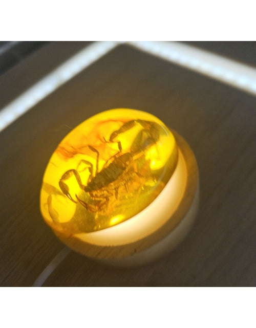 Load image into Gallery viewer, 1 Ea Beautiful Amber Scorpions Fossil Manual Polishing Lucky Ornament
