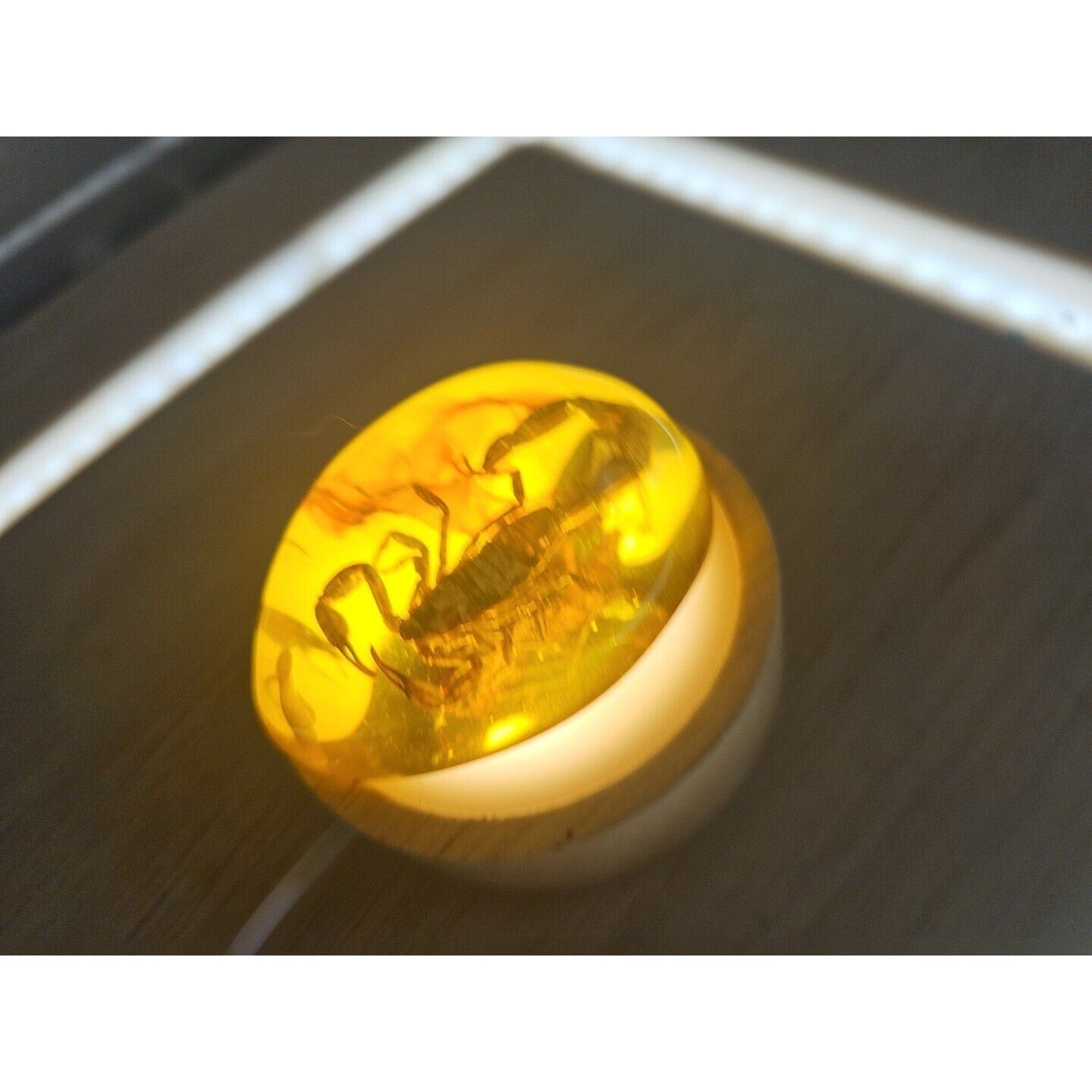 1 Ea Beautiful Amber Scorpions Fossil Manual Polishing Lucky Ornament