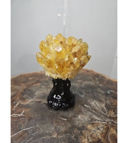 1.12LB Yellow Phantom Quartz Crystal Cluster Mineral Specimen W/Stand