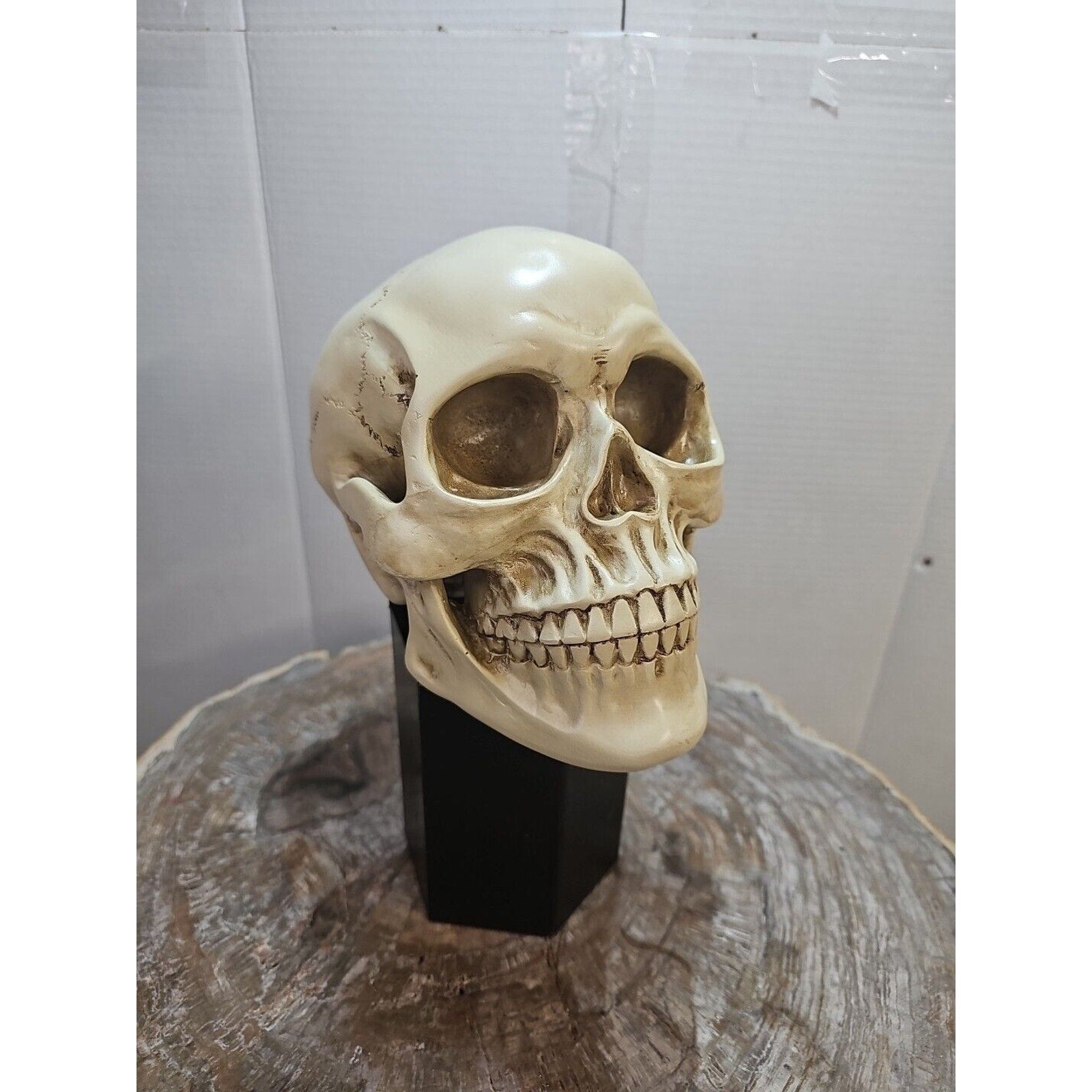 Realistic Human Skull Replica Decor Decoration Resin