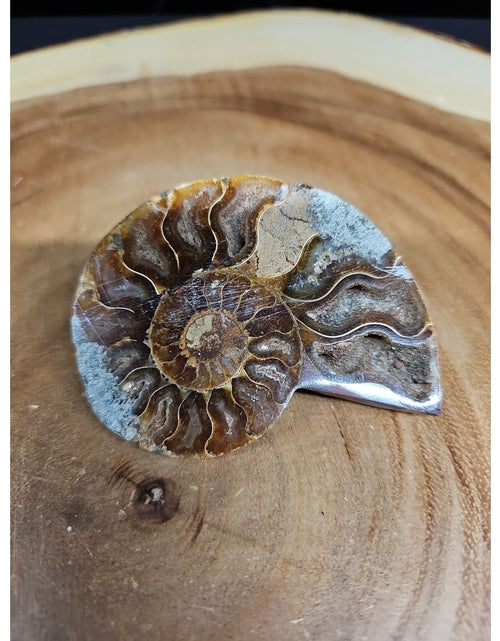 Load image into Gallery viewer, Ammonite Fossil Small 52g
