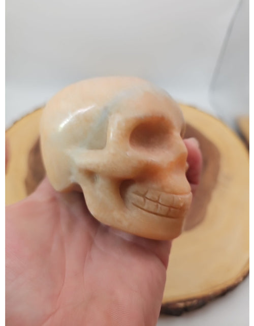 Load image into Gallery viewer, 1.24lb Natural Jasper Calcite Skulls Crystal Carving Mixed Stones Healing
