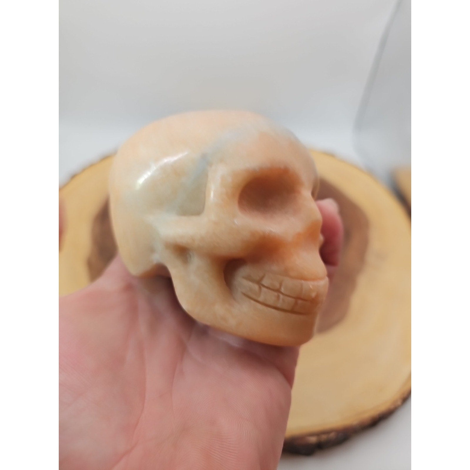 1.24lb Natural Jasper Calcite Skulls Crystal Carving Mixed Stones Healing