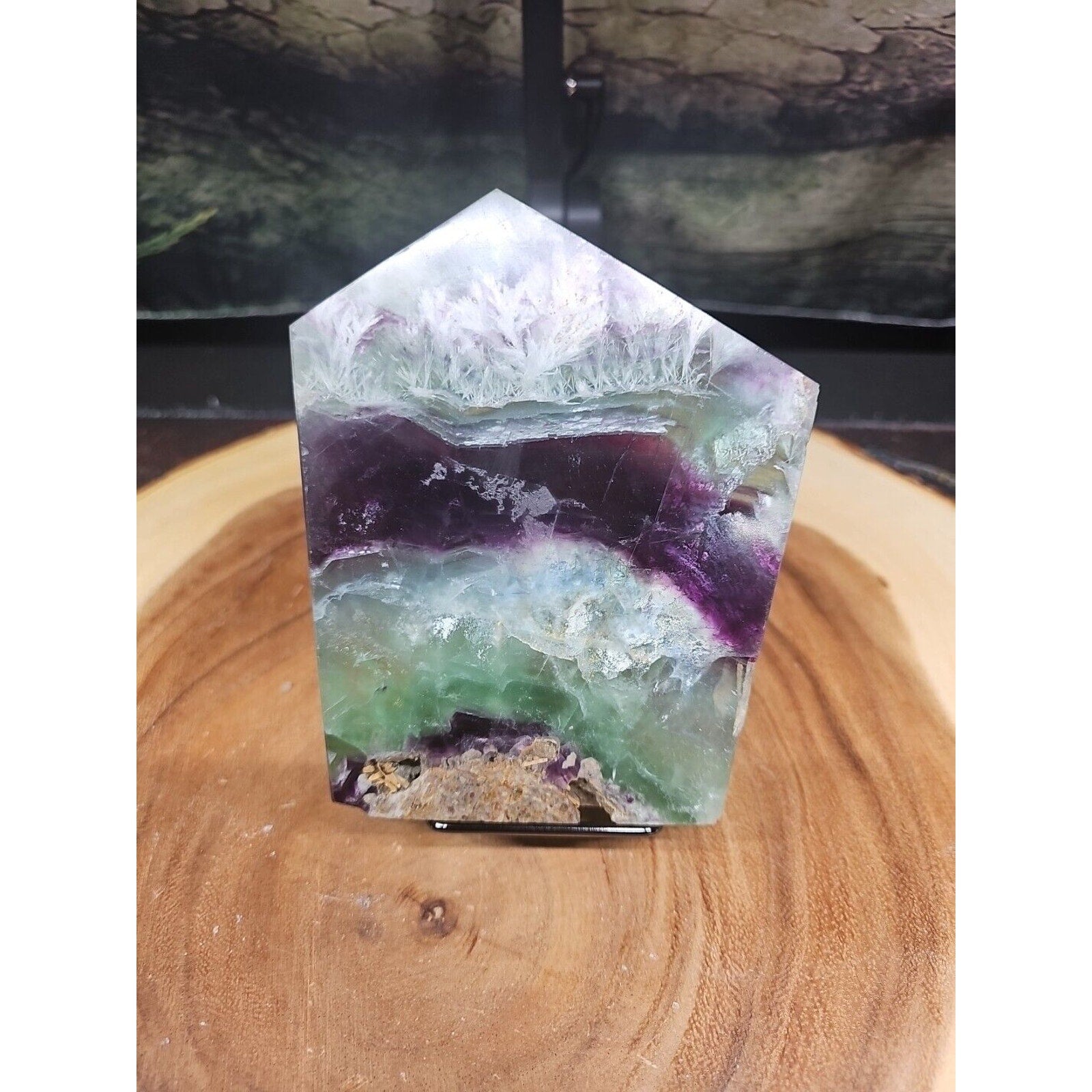1.15LB Natural fluorite snowflake feather fluorite crystal quartz healing