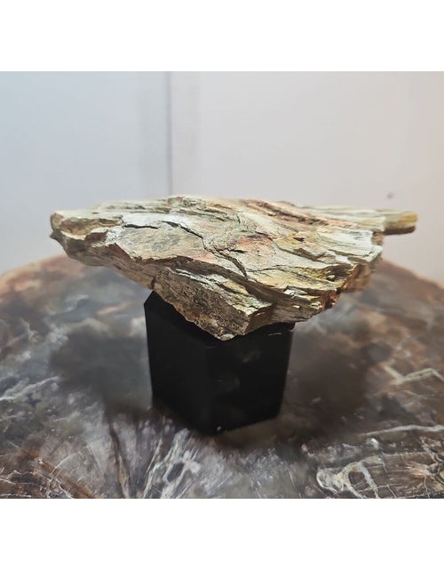 Load image into Gallery viewer, 1.06lbs Texas Petrified Wood Rough
