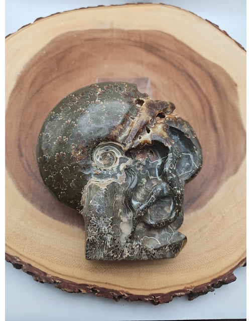 Load image into Gallery viewer, 1.32LB Rare! Natural Tentacle Ammonite Fossil Specimen Shell Madagascar
