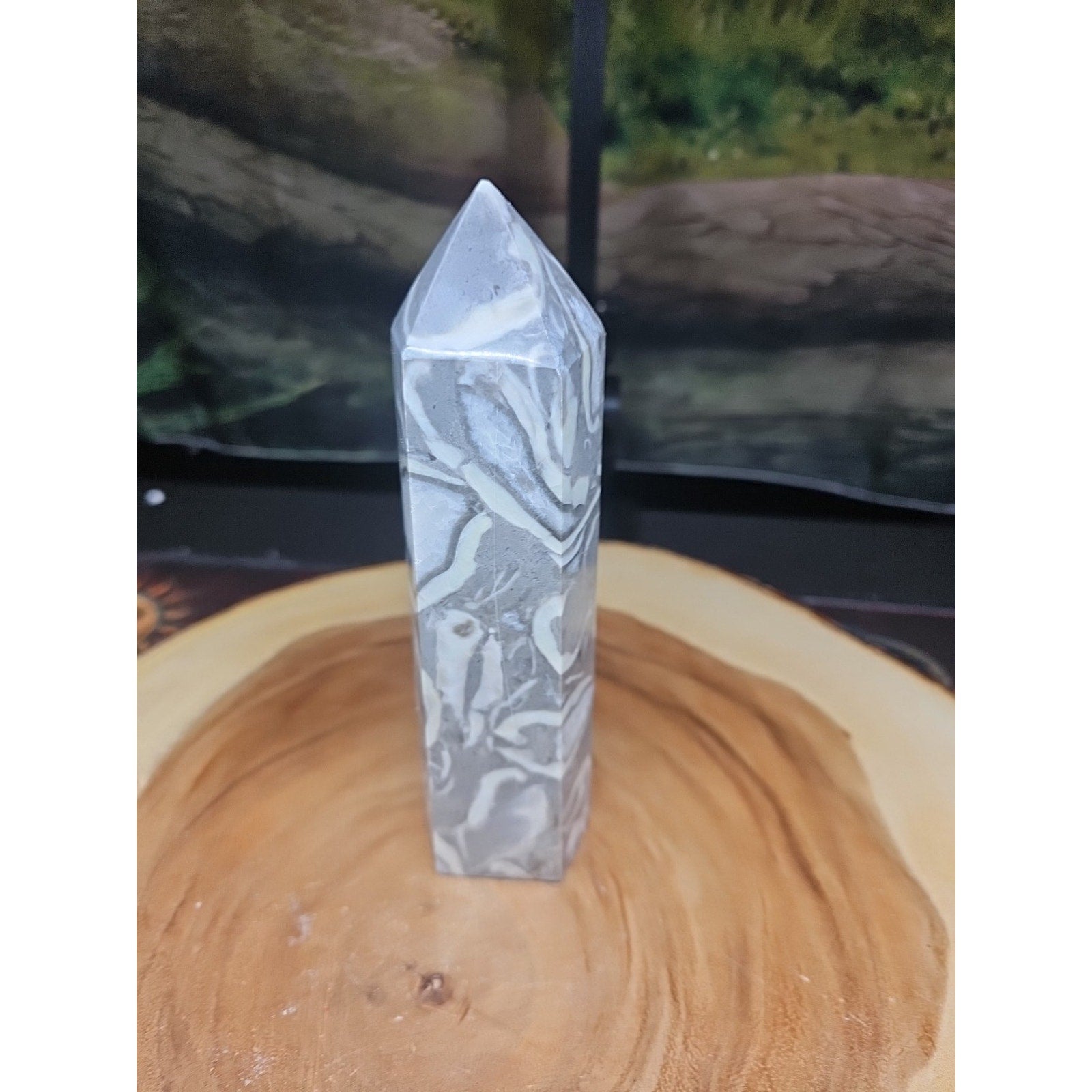 1000 Eye Jasper 1.76lb 7.5in Tall