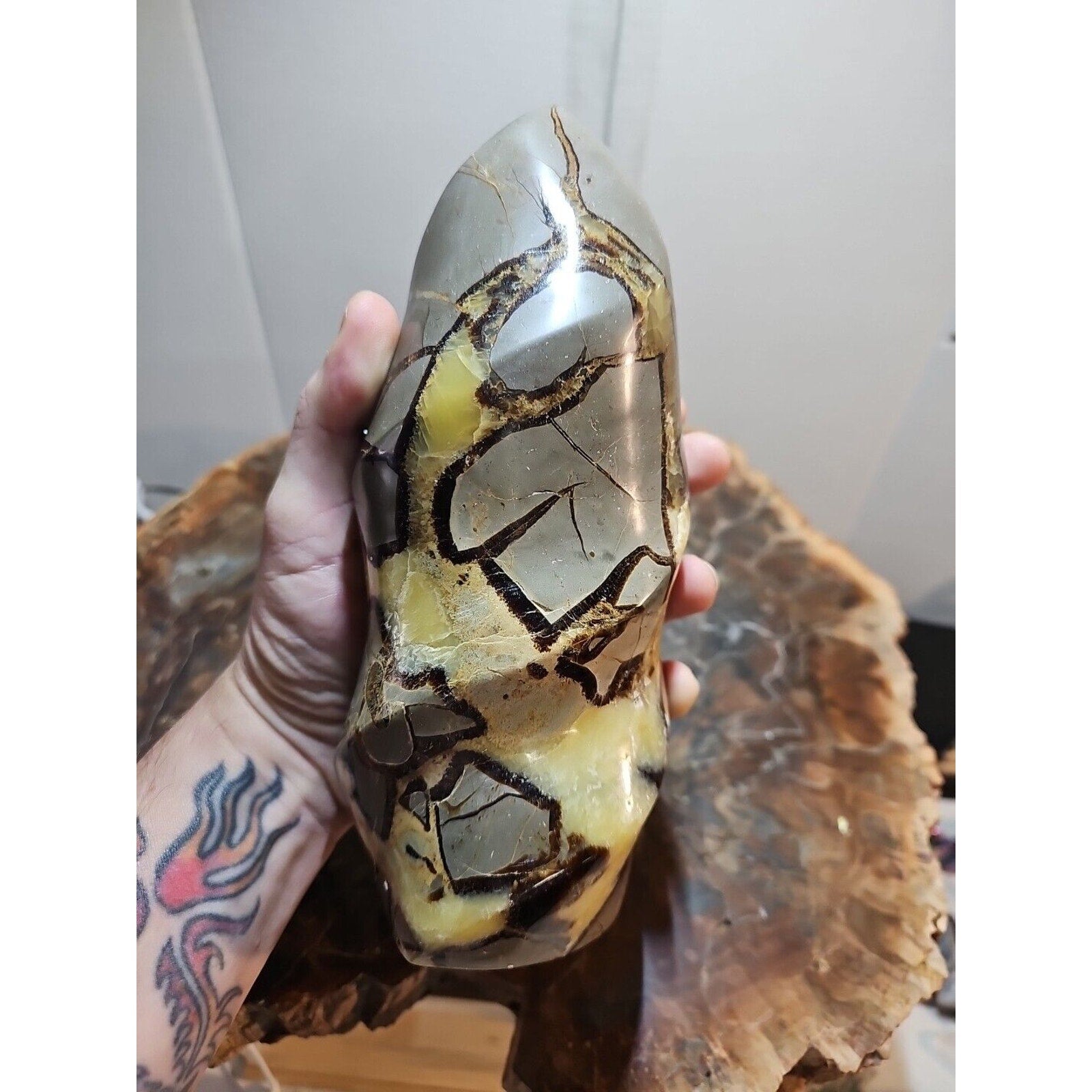 4.84LBNatural Dragon Septarian Geodetic Survey Quartz Crystal torch Healing2200g