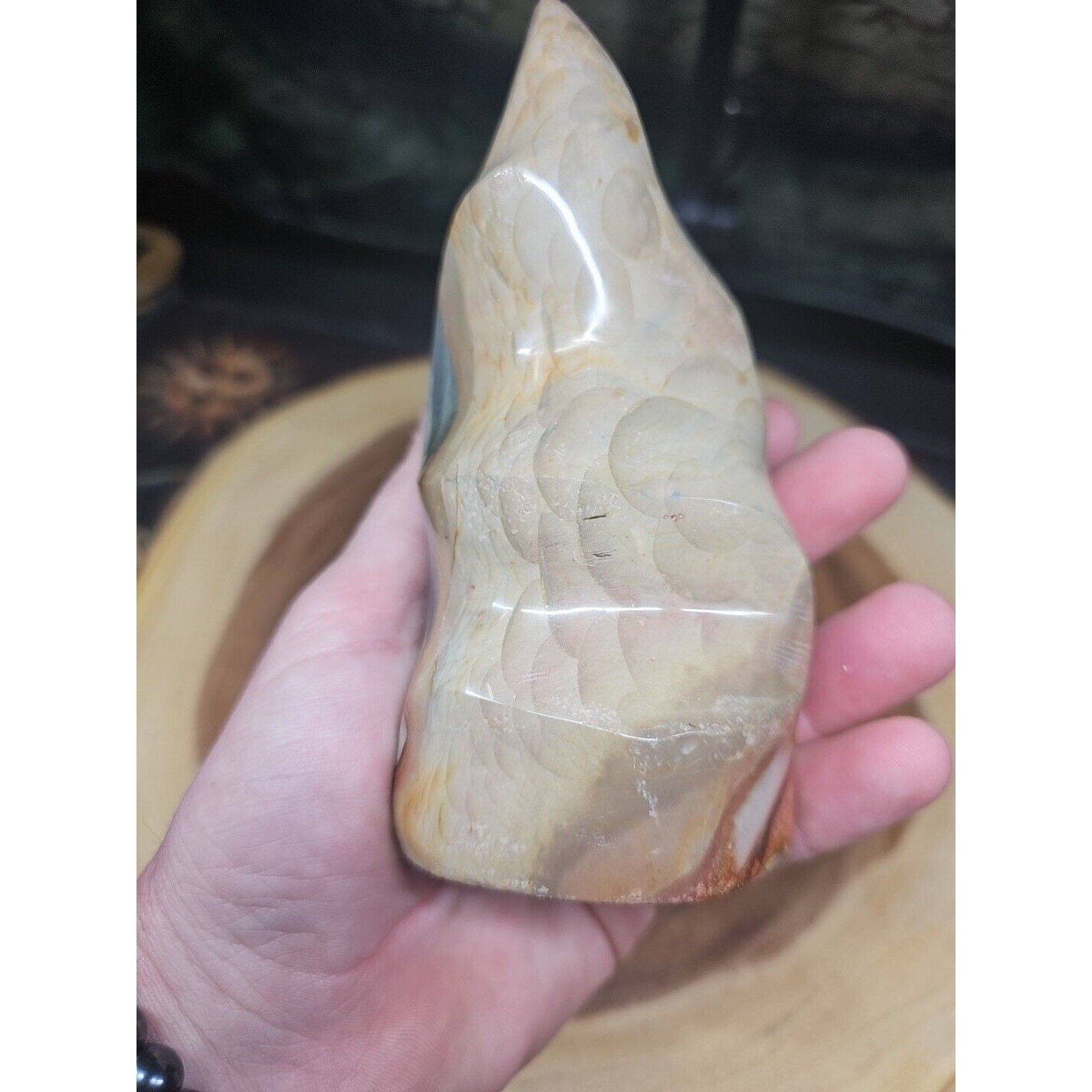 1.20LB 1Pcs Natural Polychrome Ocean Jasper Crystal Flame Point Carved Healing