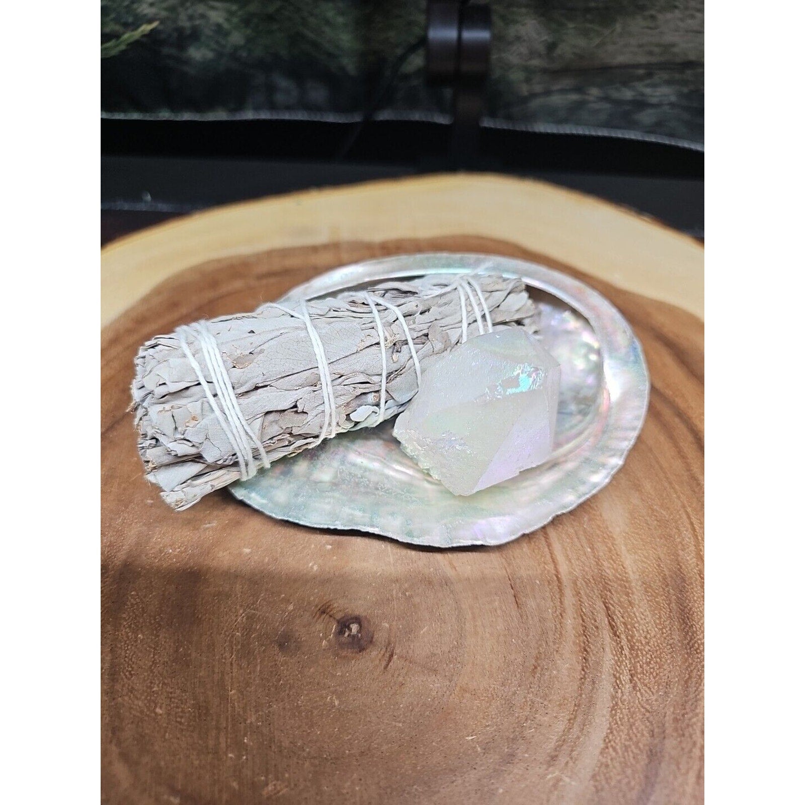Large Abalone Shell 5-6": Smudging Sage Sticks Display Sea Shell W/Quartz Point