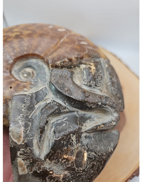 Load image into Gallery viewer, 1.82LB Rare! Natural Tentacle Ammonite FossilSpecimen Shell Healing Madagascar
