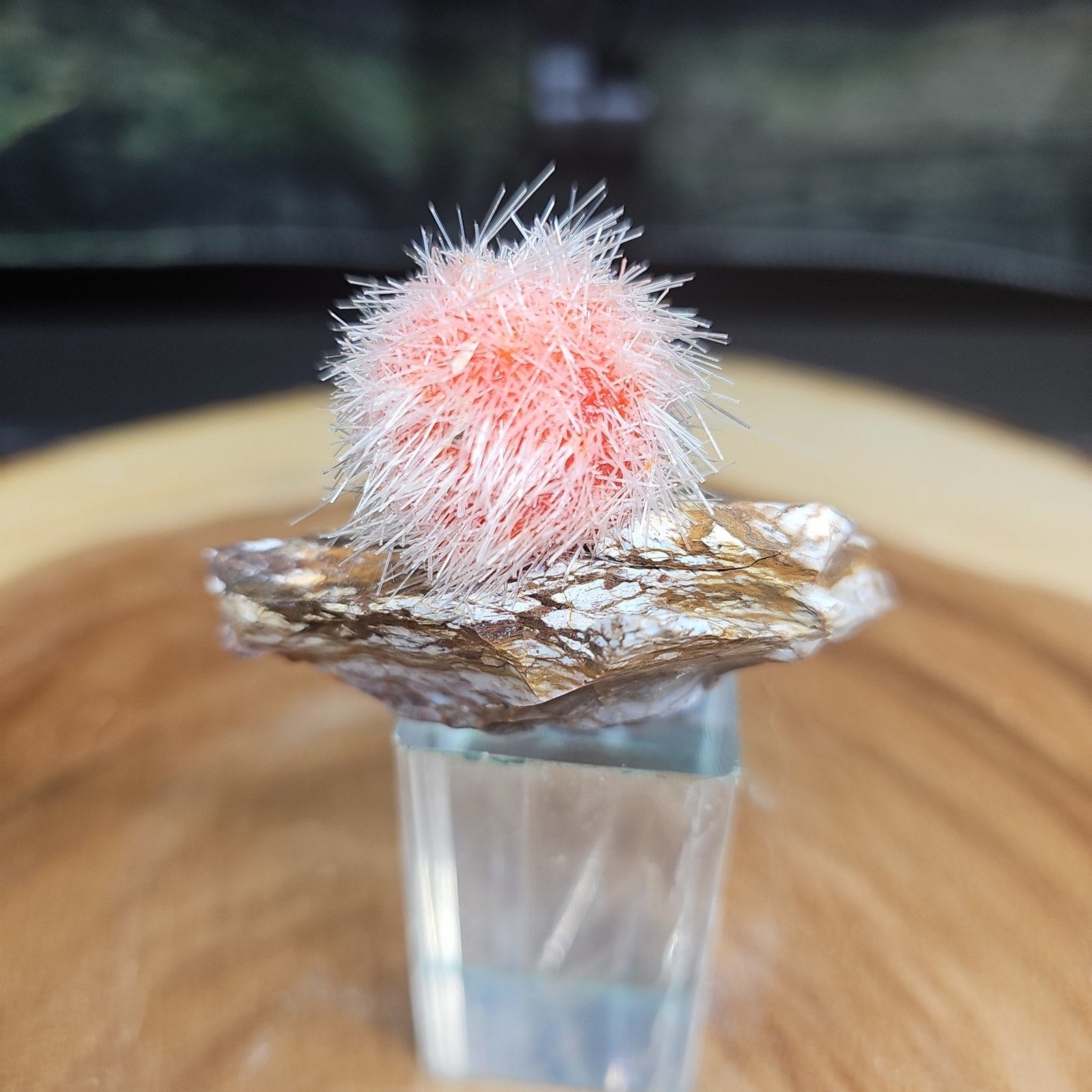 Zeolite crystal