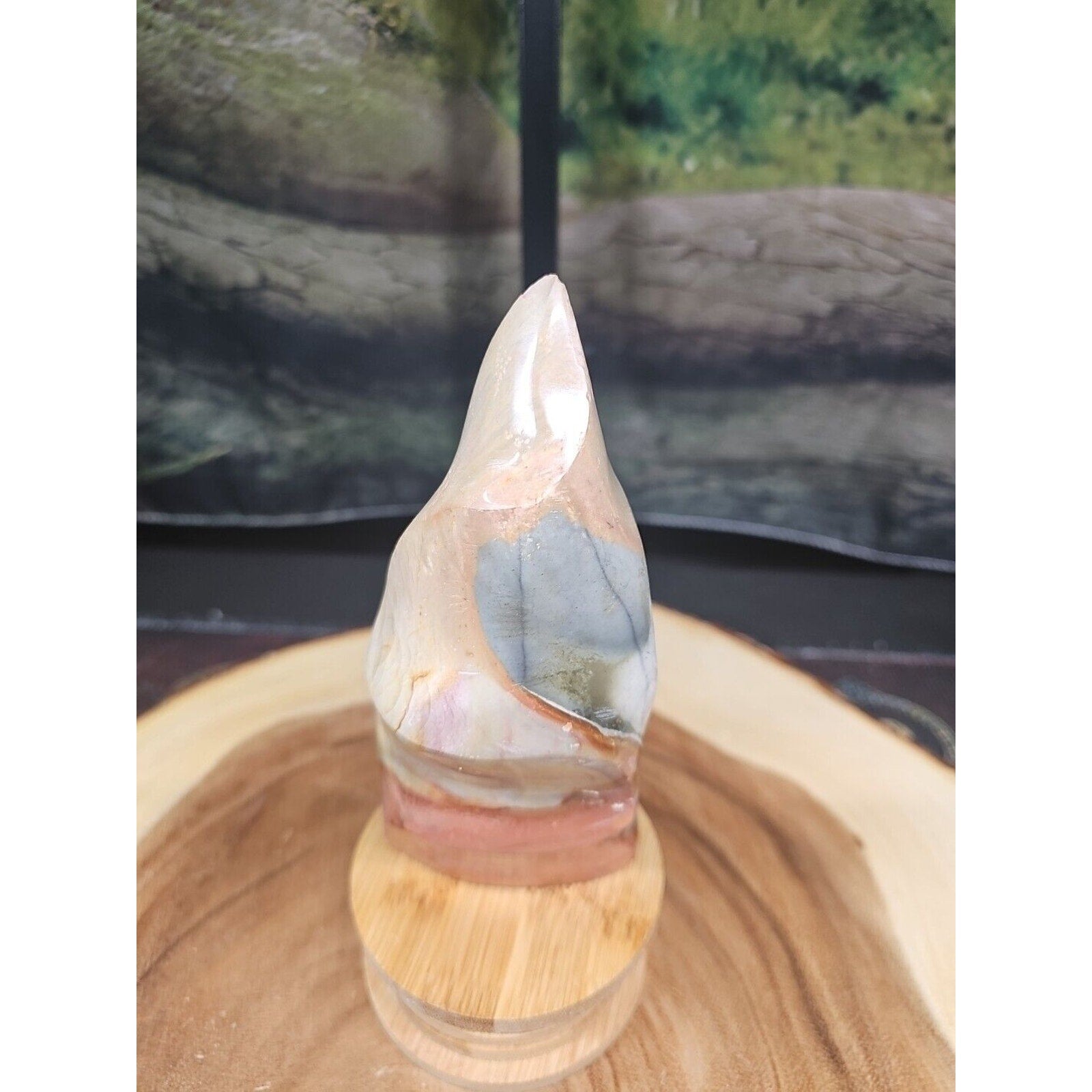 1.20LB 1Pcs Natural Polychrome Ocean Jasper Crystal Flame Point Carved Healing