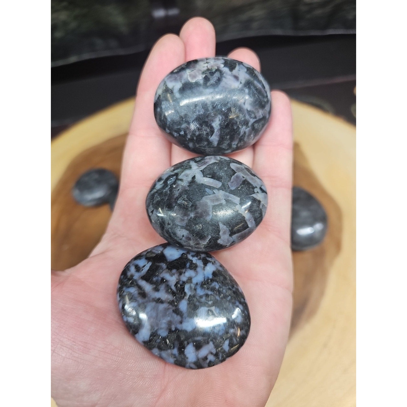 5Pcs Natural Polychrome Merlinite Gabbro Crystal Palm Stone