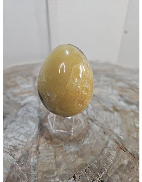 Load image into Gallery viewer, 9.0oz Natural Septarian Dragon quartz Crystal egg Mineral Specimen W/Stand
