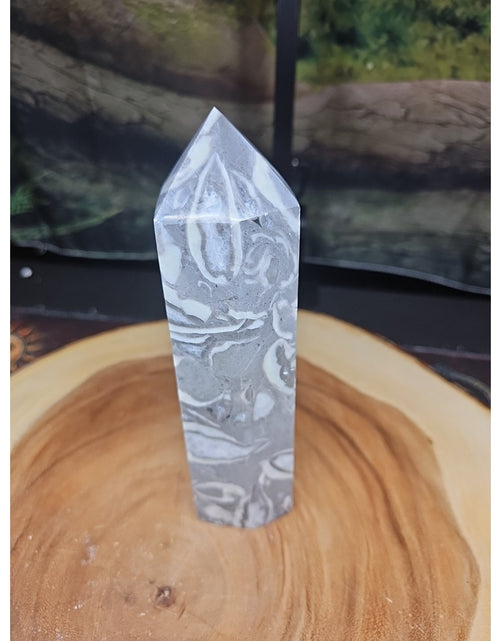 Load image into Gallery viewer, 1000 Eye Jasper 1.76lb 7.5in Tall
