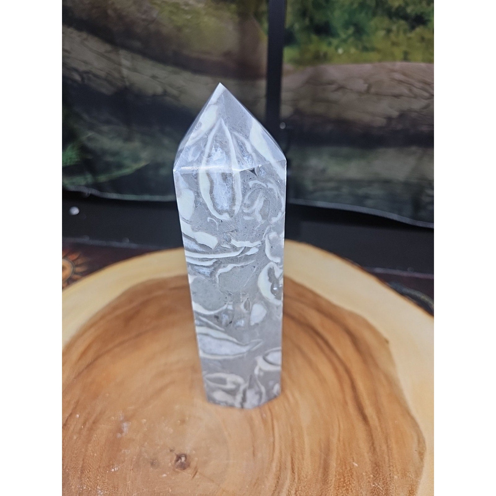 1000 Eye Jasper 1.76lb 7.5in Tall