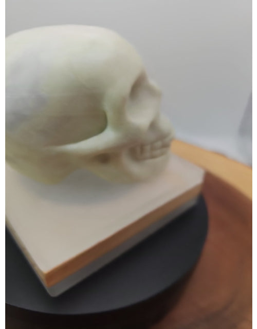 Load image into Gallery viewer, 1.14lb Natural Jasper Calcite Skulls Crystal Carving Mixed Stones Healing
