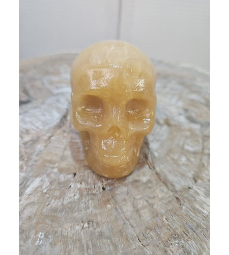 1.48 1Pcs Natural Jasper Calcite Skull Crystal Carving Stones Healing