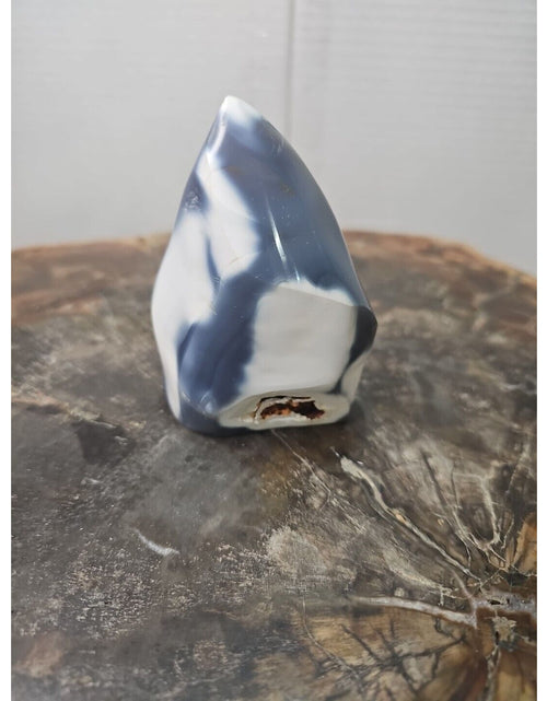 Load image into Gallery viewer, Jasper Ocean Whale Stone 332g
