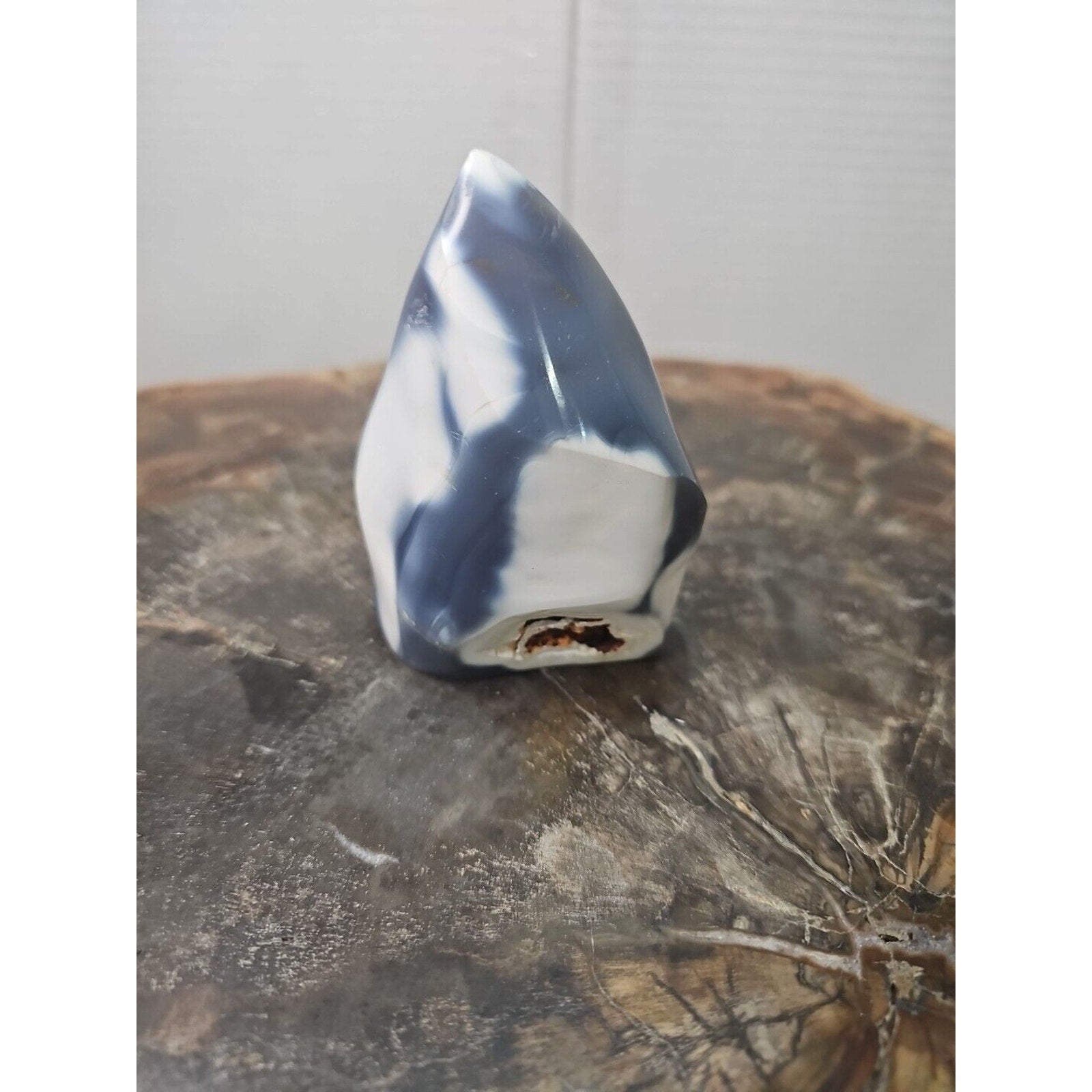 Jasper Ocean Whale Stone 332g