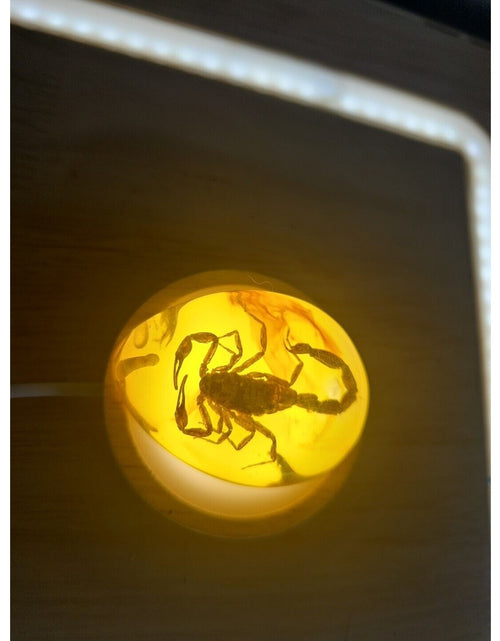 Load image into Gallery viewer, 1 Ea Beautiful Amber Scorpions Fossil Manual Polishing Lucky Ornament
