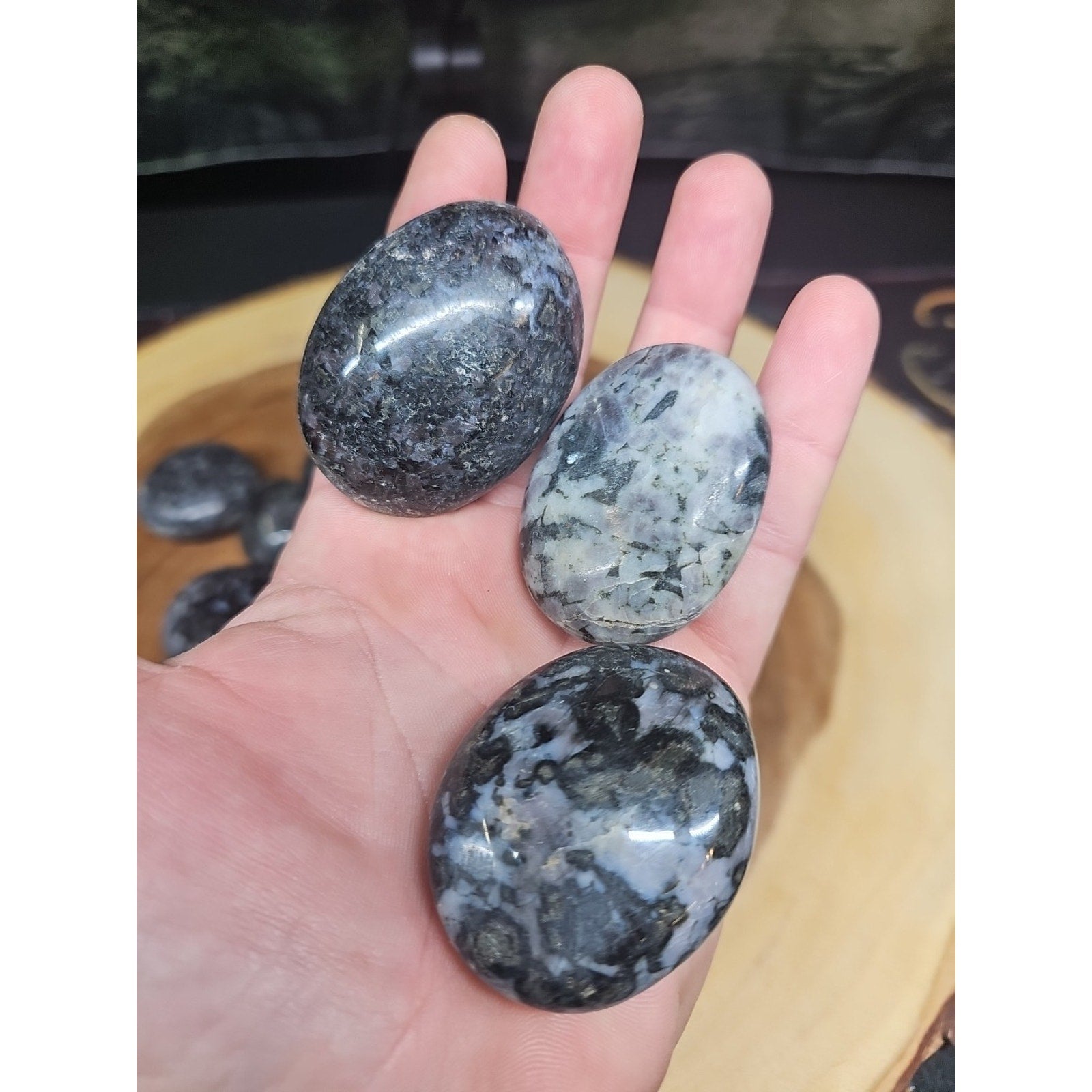 5Pcs Natural Polychrome Merlinite Gabbro Crystal Palm Stone