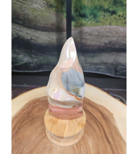 1.20LB 1Pcs Natural Polychrome Ocean Jasper Crystal Flame Point Carved Healing