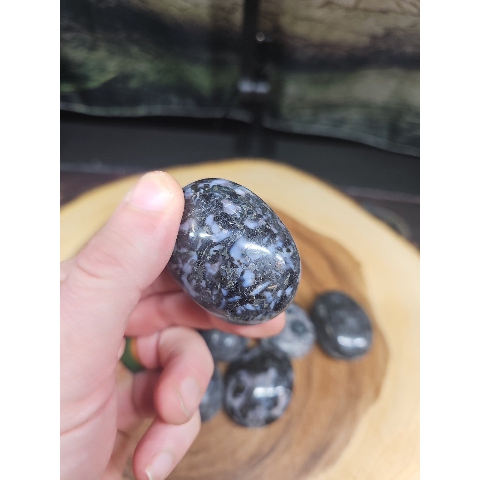 5Pcs Natural Polychrome Merlinite Gabbro Crystal Palm Stone