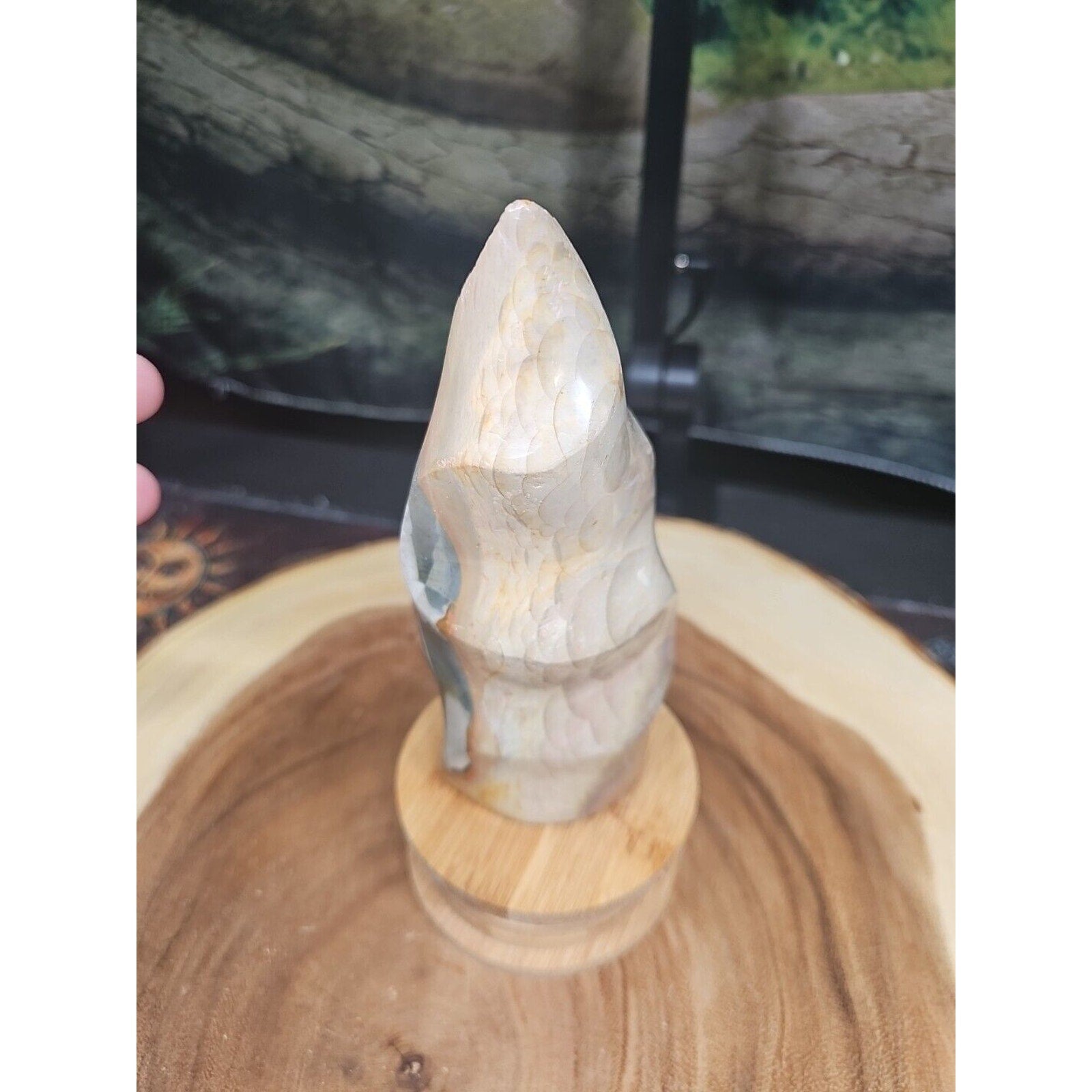1.20LB 1Pcs Natural Polychrome Ocean Jasper Crystal Flame Point Carved Healing
