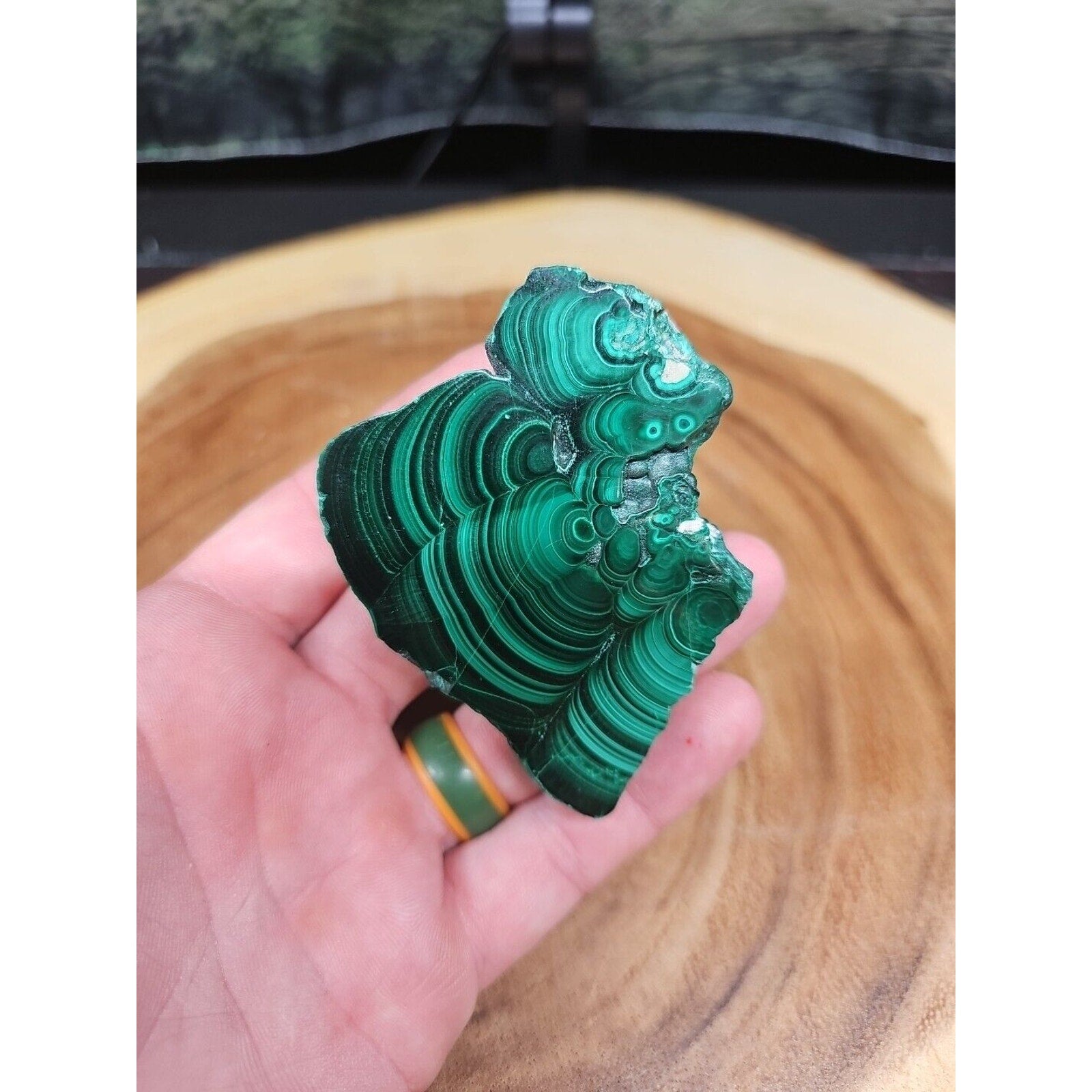 malachite Slice 4oz