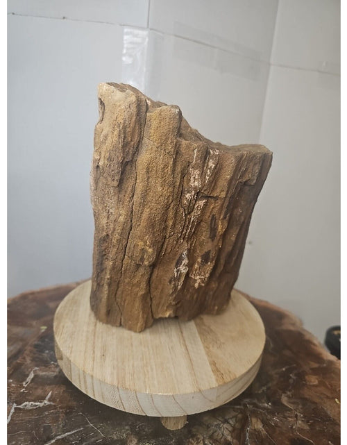 Load image into Gallery viewer, ❤️‍🔥Texas Petrified Wood! Raw Cool Details W/Stand Great Display
