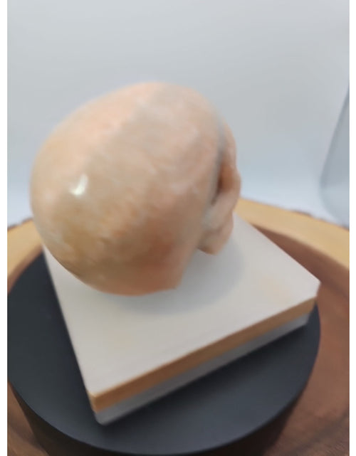 Load image into Gallery viewer, 1.24lb Natural Jasper Calcite Skulls Crystal Carving Mixed Stones Healing
