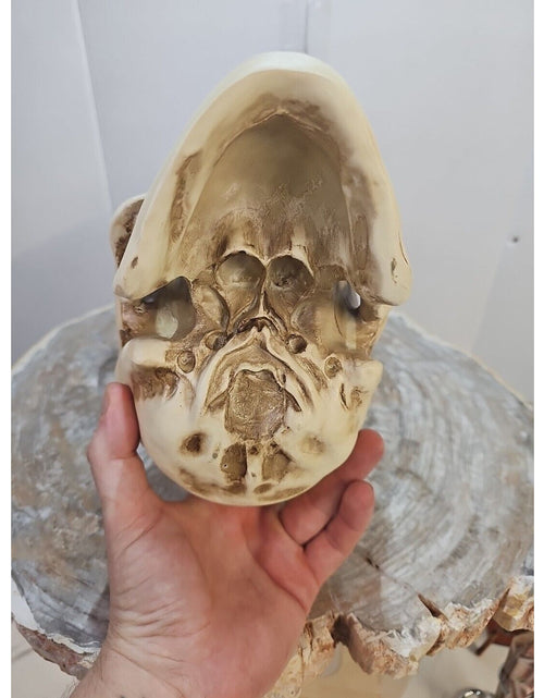 Load image into Gallery viewer, Realistic Human Skull Replica Decor Decoration Resin
