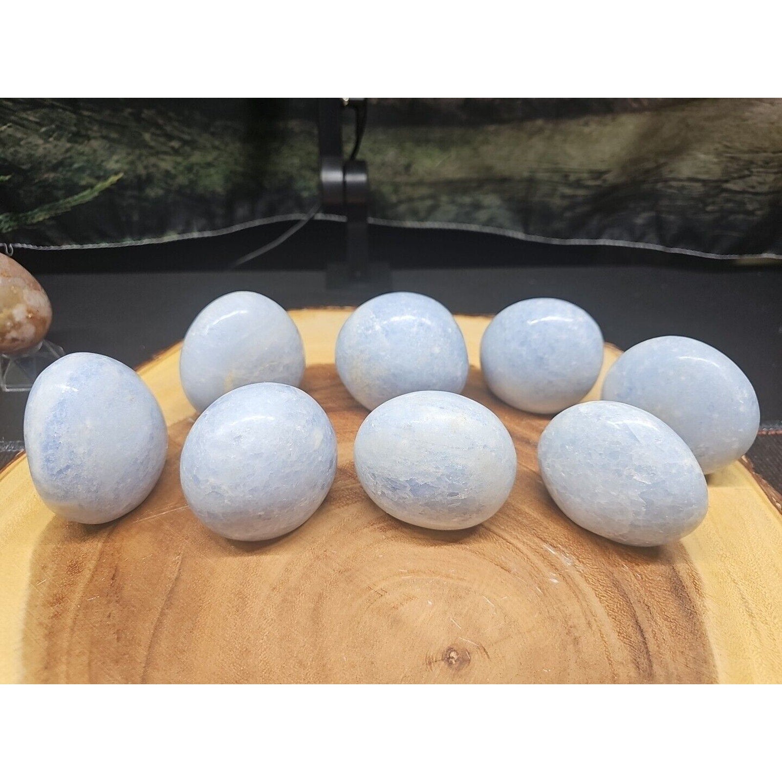 1lb 2pcs Natural Baby Blue Celestite Quartz Crystal Palm Stone Decoration