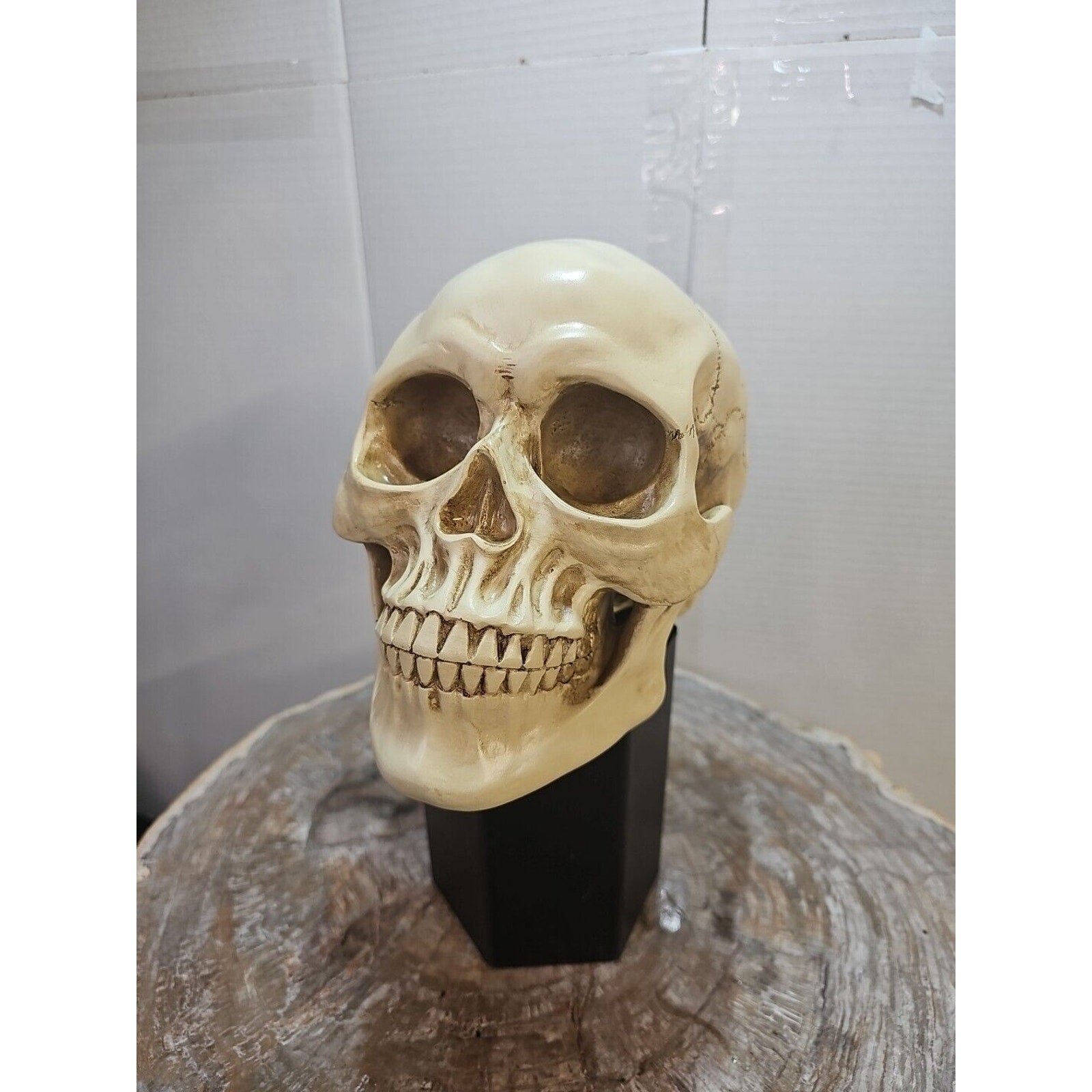 Realistic Human Skull Replica Decor Decoration Resin