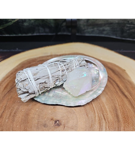 Large Abalone Shell 5-6": Smudging Sage Sticks Display Sea Shell W/Quartz Point