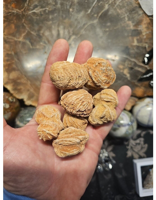 Load image into Gallery viewer, Desert Rose Stones
