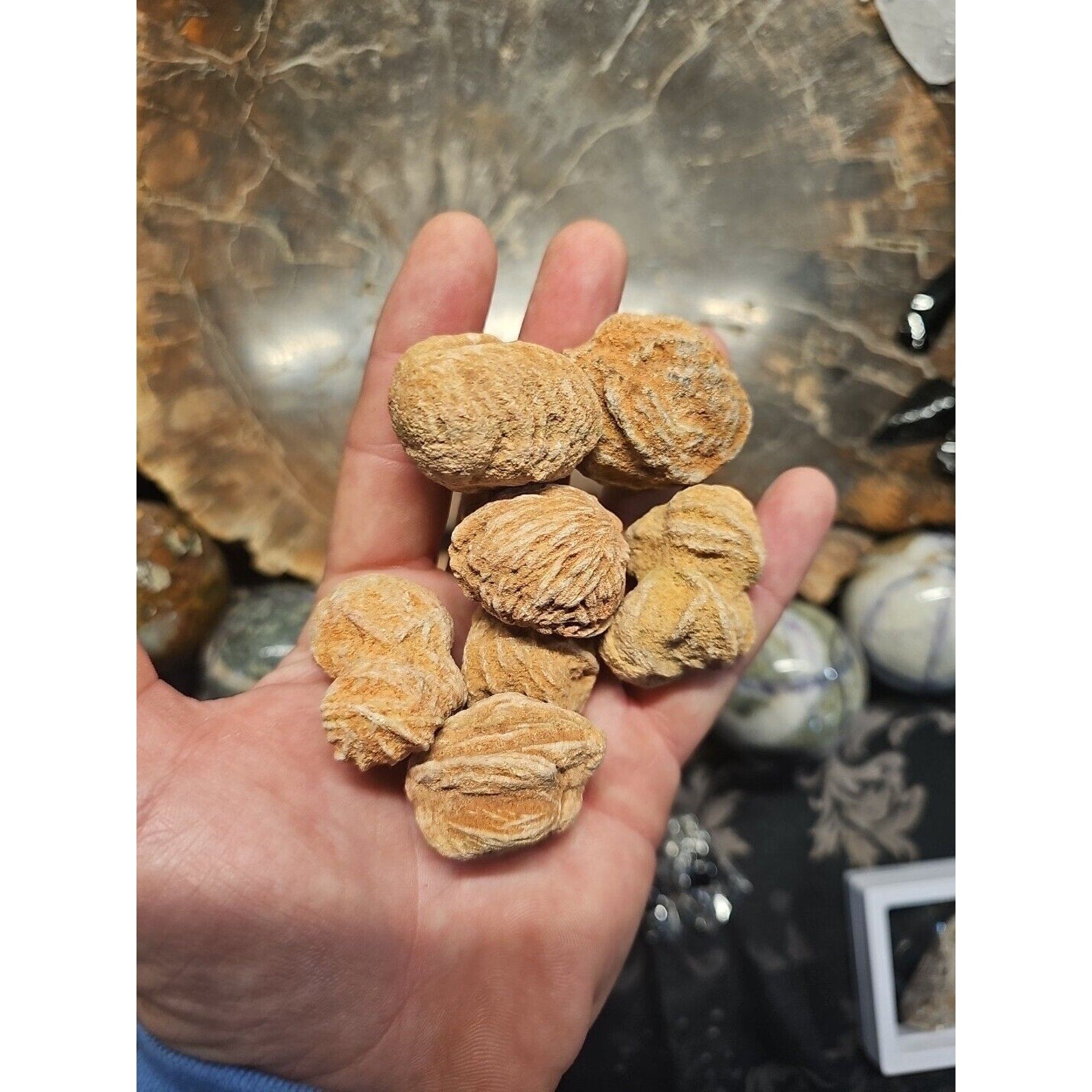 Desert Rose Stones