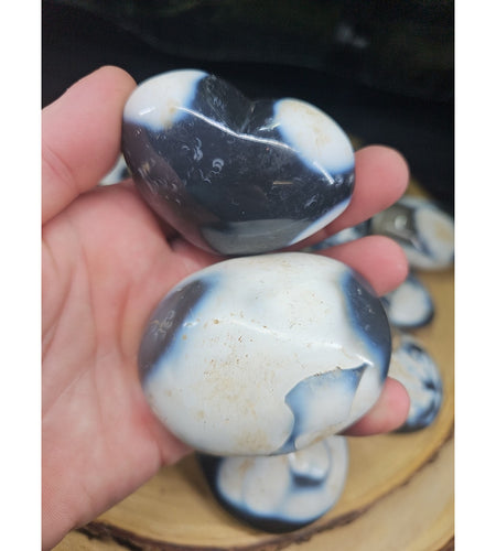 1each Natural Orca Agate Killer Whale Carnelian Crystal Heart Palm Healing