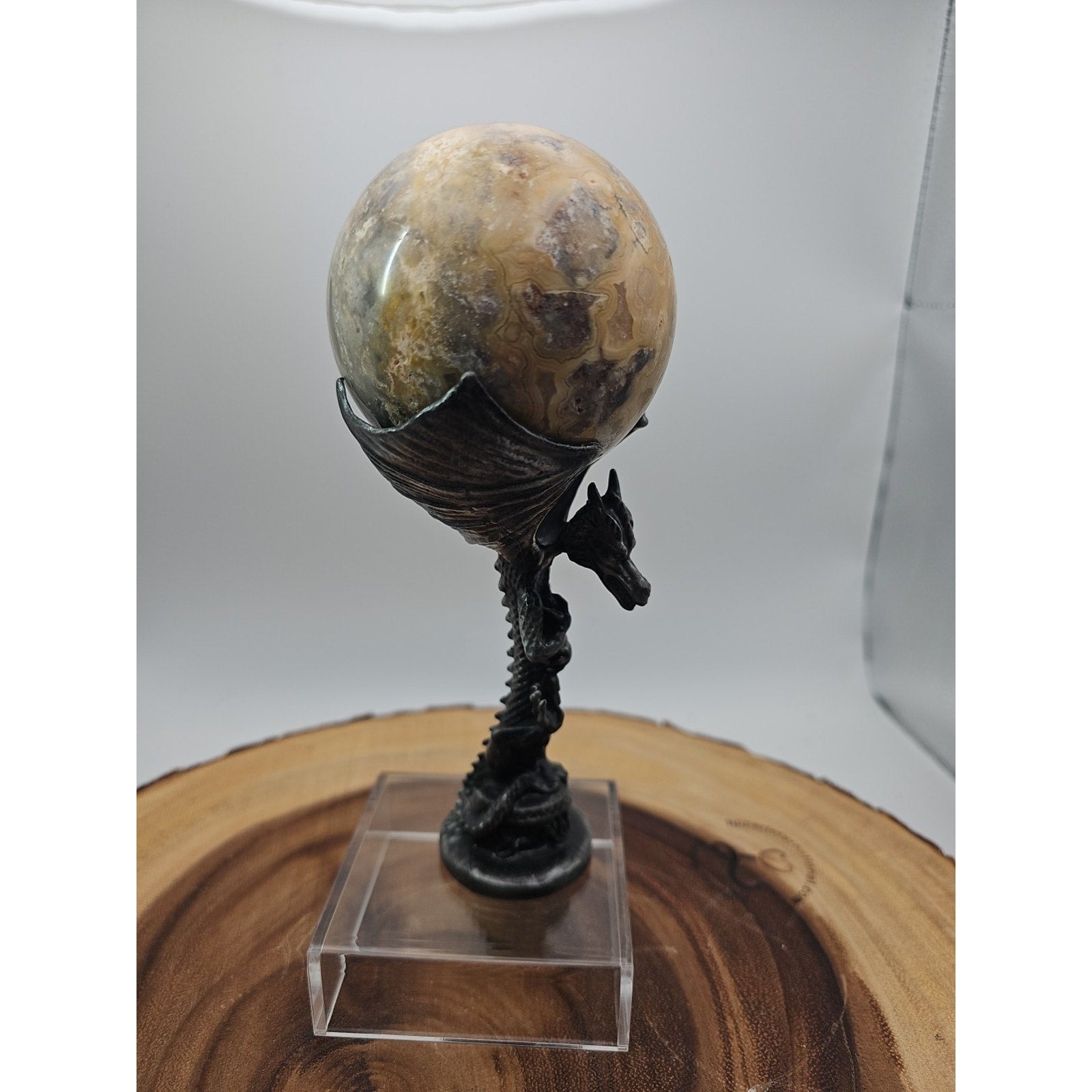 1.13lb 72mm Crazy Lace Agate W/Dragon Stand