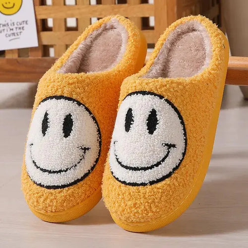 Load image into Gallery viewer, Funny Cute Winter Warm Floor House Home Shoes Female
