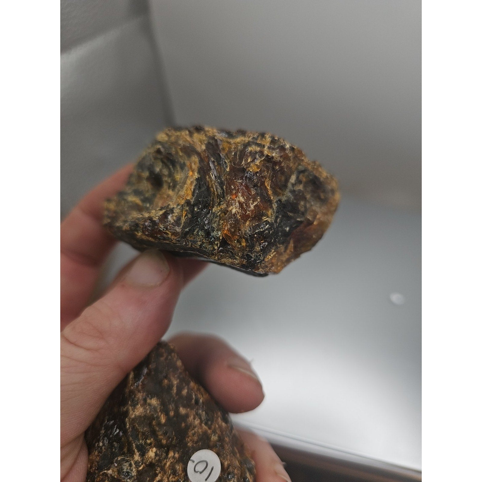 Amber Stone 2pcs