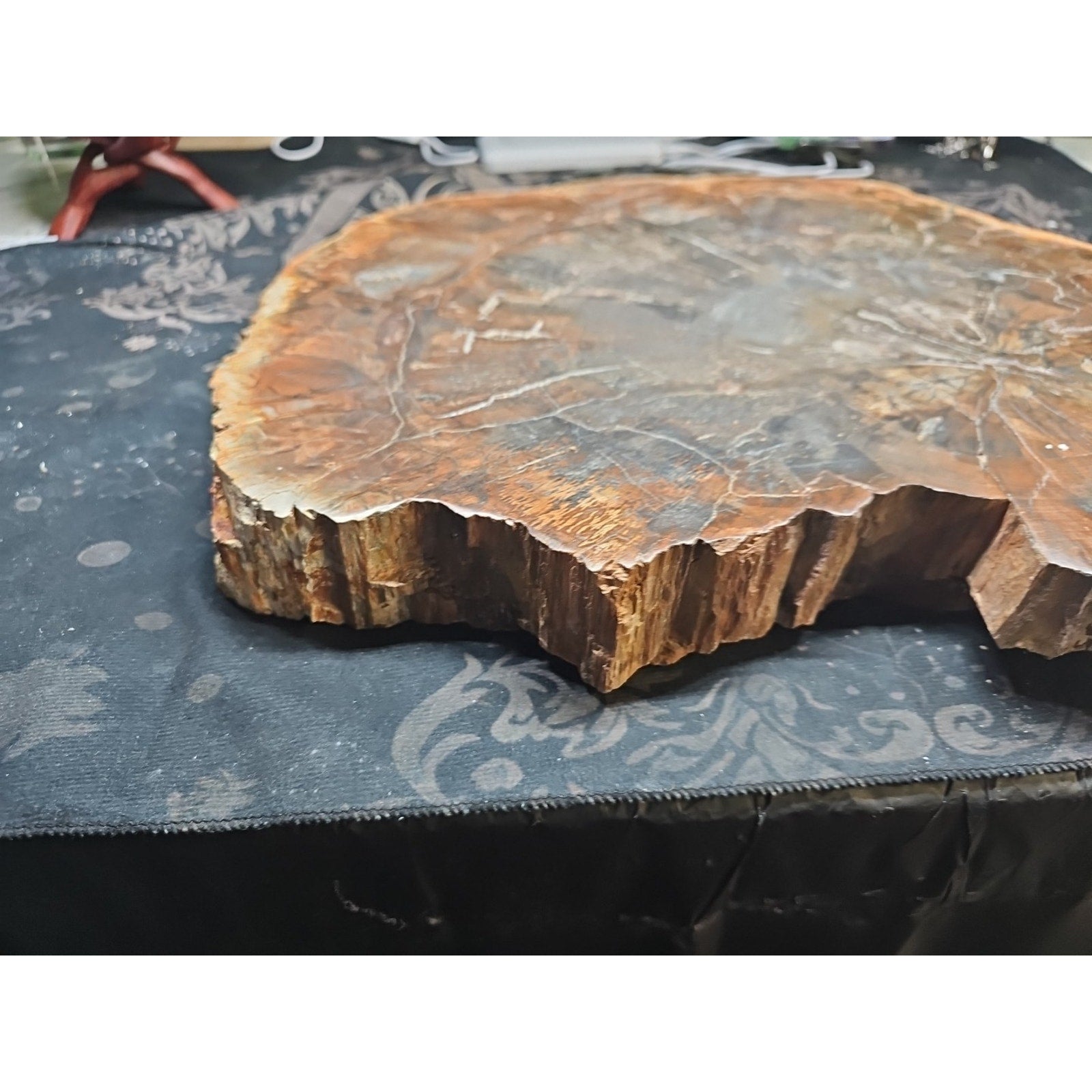 27.3LB TOP Natural fossil wood Quartz carved Crystal mineral Specimen healing
