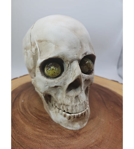 Resin Skull W/Ocean Jasper Quartz Eyes