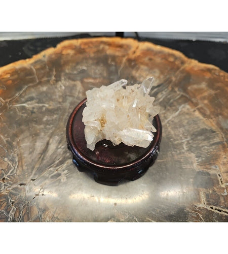 133g Quartz Crystal Cluster W/ Display Stand