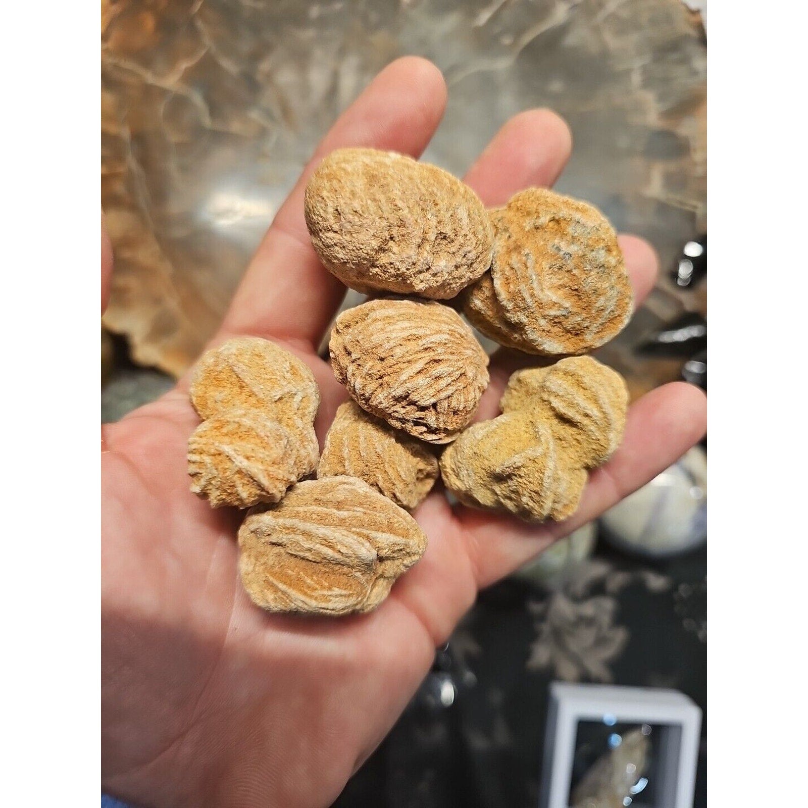 Desert Rose Stones