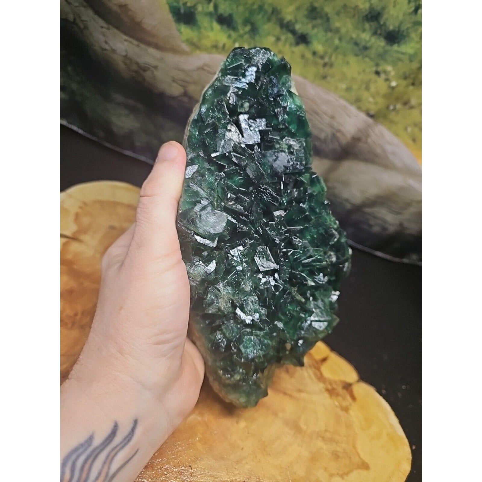 3.2lb NATURAL Green FLUORITE Quartz Crystal Cluster Mineral Specimen